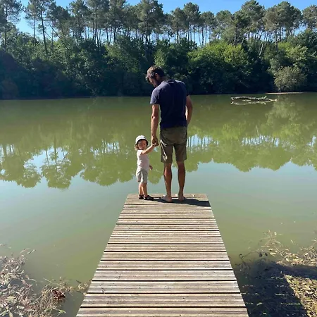 D'architecte Dans Un Petit Coin De Paradis Cazats