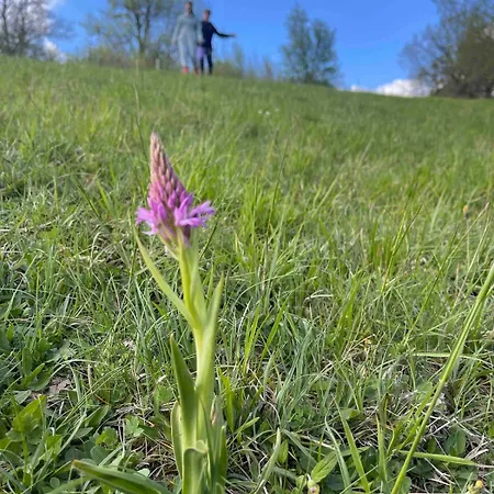 D'architecte Dans Un Petit Coin De Paradis *