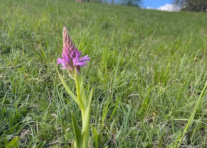 D'architecte Dans Un Petit Coin De Paradis *